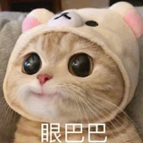 嘉桐热聚
