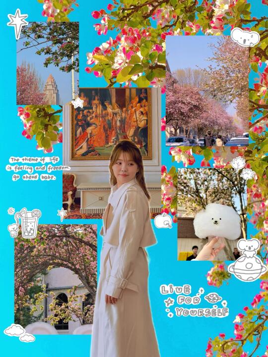 春日旅行｜🌸下个月的天津将是粉红花海🫧