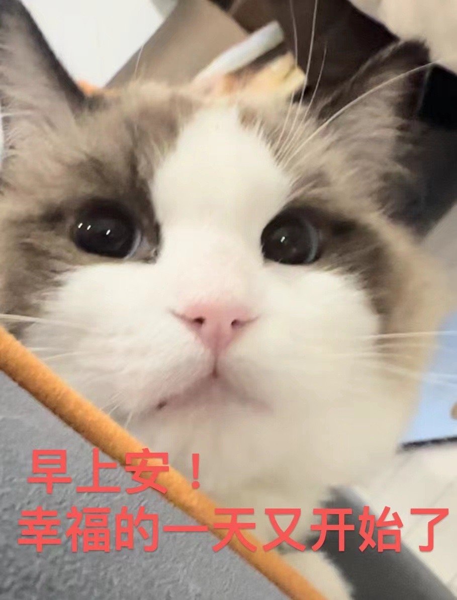 儿子长得都像妈 ​​​