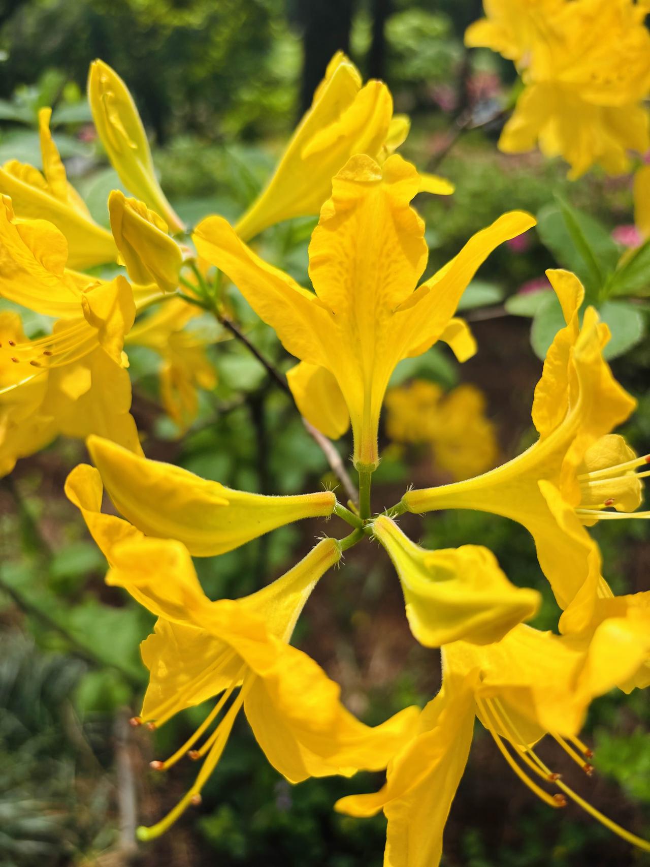 男方去女方家提亲，－顿饭，搅黄了三年感情，到底谁小气？

男方去南方的女方家提亲