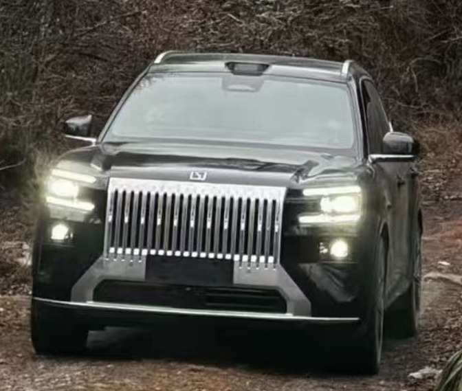 🔻来了？确实是8x🔻突然想到，009和9x以及现在的dx1h，可能是中国品牌