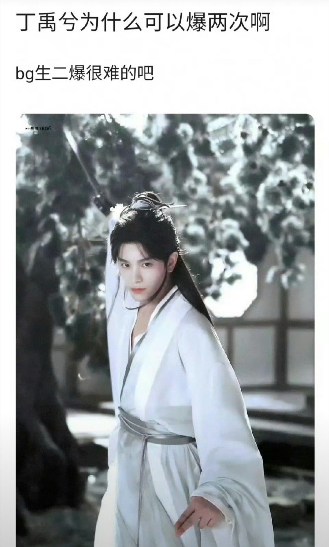 丁禹兮为什么爆两次？因为赵露思和虞书欣啊