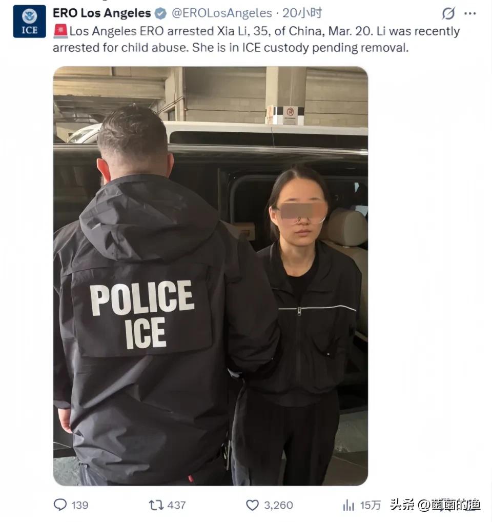 在美国打孩子=坐牢+遣返？华人妈妈李霞的惨痛教训，每个家长都该看看！

这事儿最