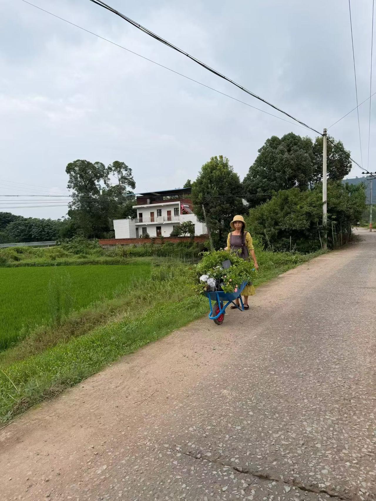 回到老家，梦想把整个村庄种满鲜花，一步步规划，慢慢打造一座藏在乡土里的童话花果园