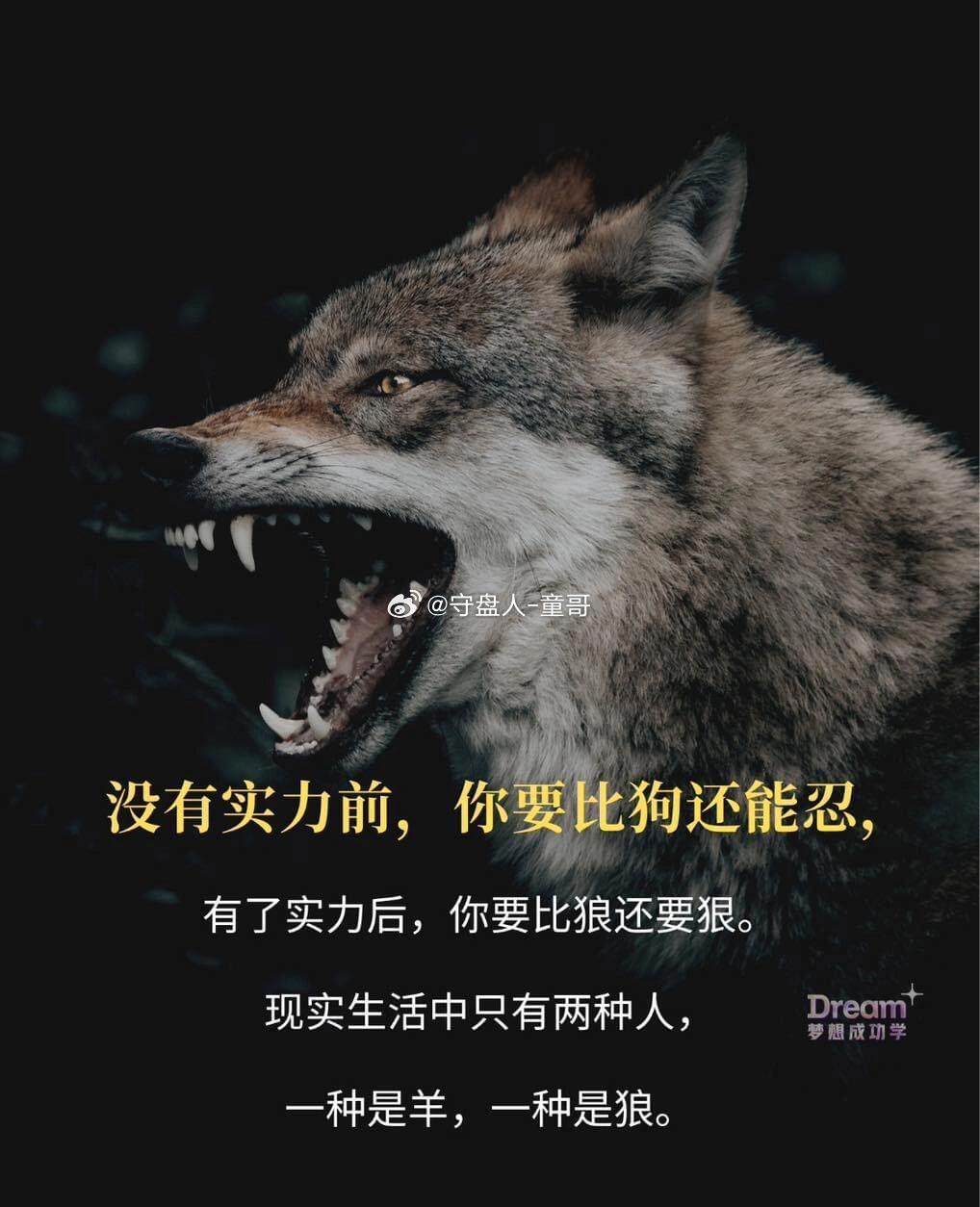 早上好童粉们！童哥已就位，新的一周准备好，决战的时刻已经到来，这也是检验意志和决