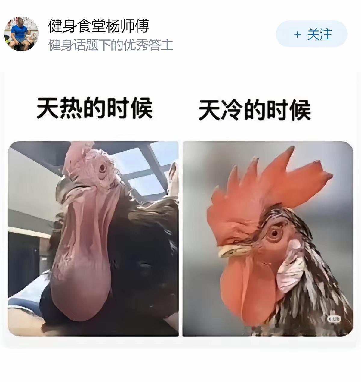 有哪些关于人体的冷知识？ 