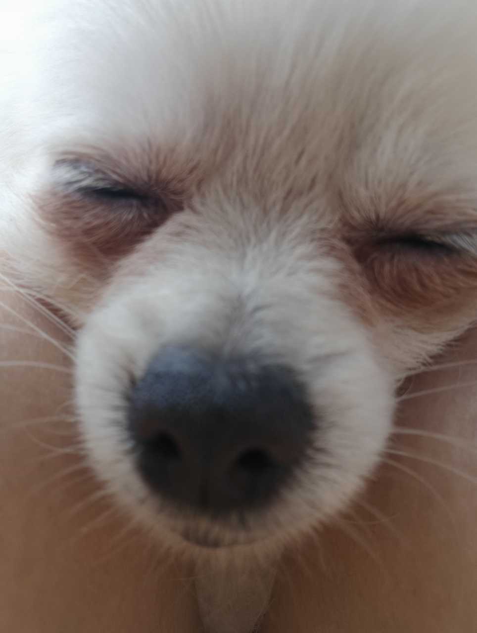 坤巴脸 ​​​