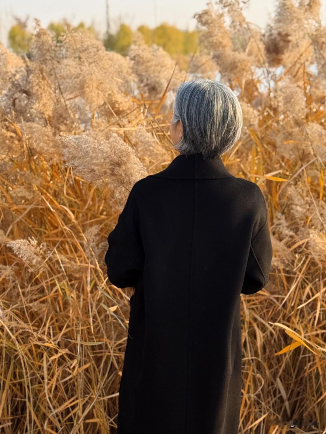 昨天整理旧物，翻出了妈生前最爱穿的那件旧棉袄。

口袋里摸到一个皱巴巴的药盒子，