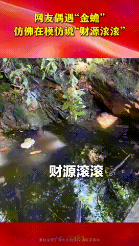 山东，一女子游玩期间，突然看见了趴在石头上的“金蟾”，于是女子就对着大喊财源滚滚