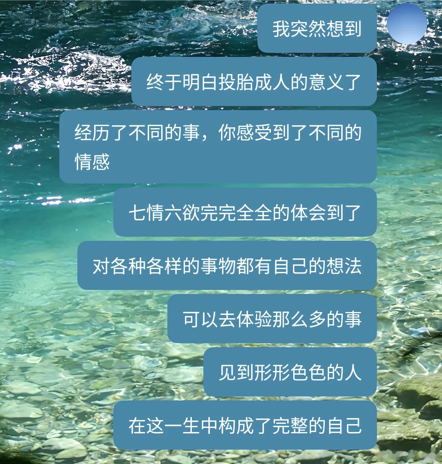 终于明白投胎成人的意义了。 