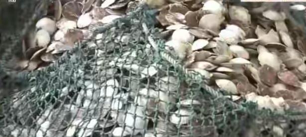 “抛售日本”开始了？高市早苗执意“玩火”引发全面冲击波