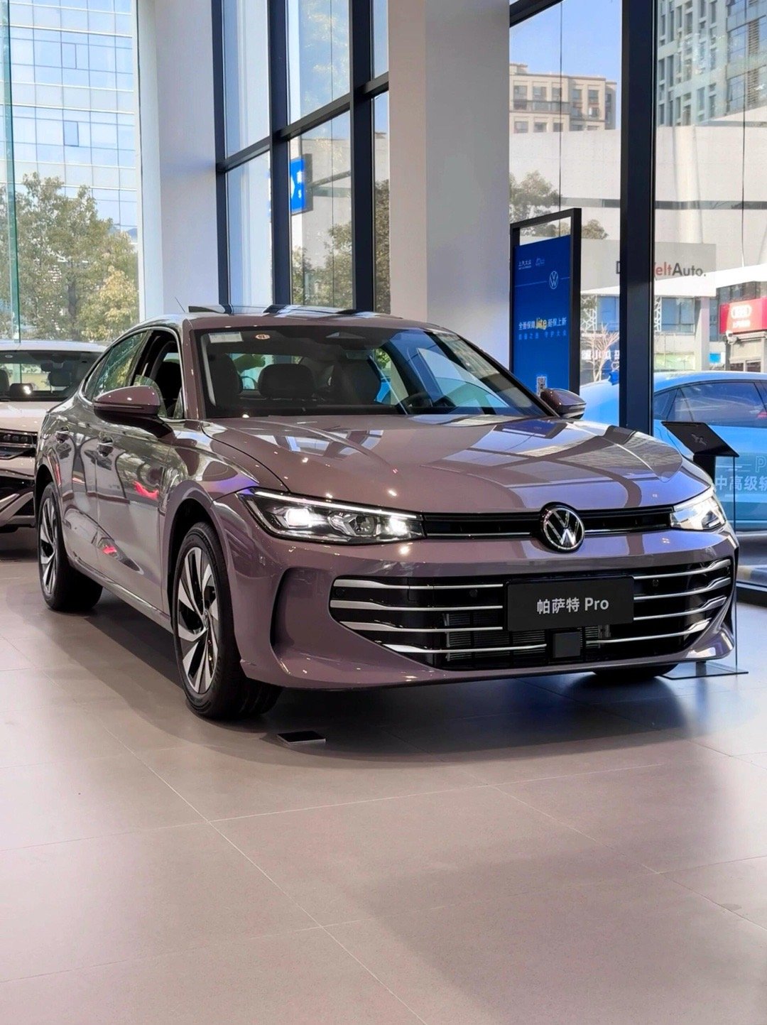 🚘帕萨特Pro 比特灰其比特灰车漆宛如静谧夜空里的神秘紫霭，独特又不失稳重，在