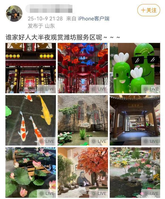 山东一座高速服务区意外 “出圈”，成为比热门景区还要热闹的存在。这座名为潍坊西的