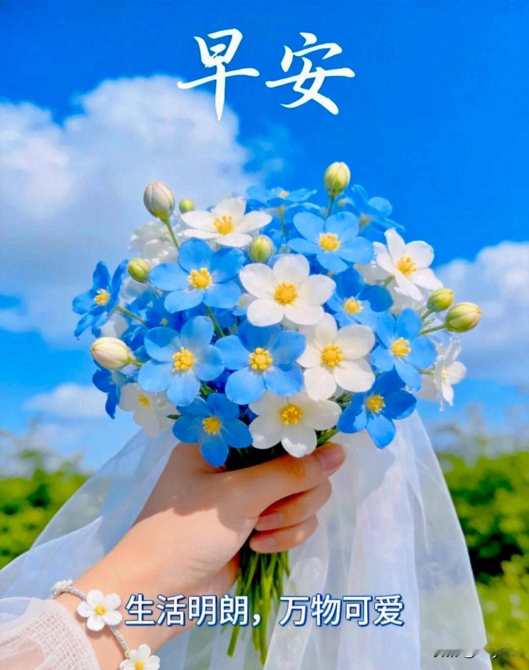 每日清晨的一句问候，是最纯粹的真心。藏着细碎温柔，载着满心期许，悄悄祝愿你今日万
