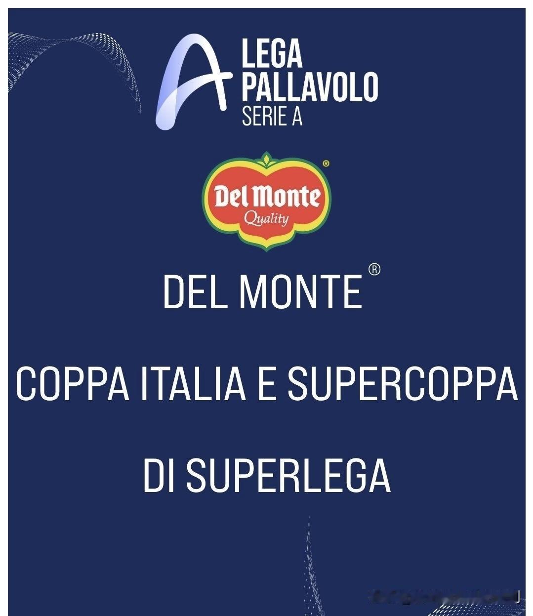 2025年意大利男排超级杯已推迟至2026年举行

意大利男排联赛公布了意大利超