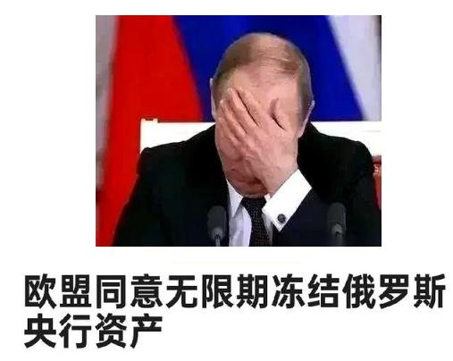 俄罗斯真的有招，欧盟冻结我们的钱我们不要了，我们就拿欧盟的钱抵了。近期欧盟表示如