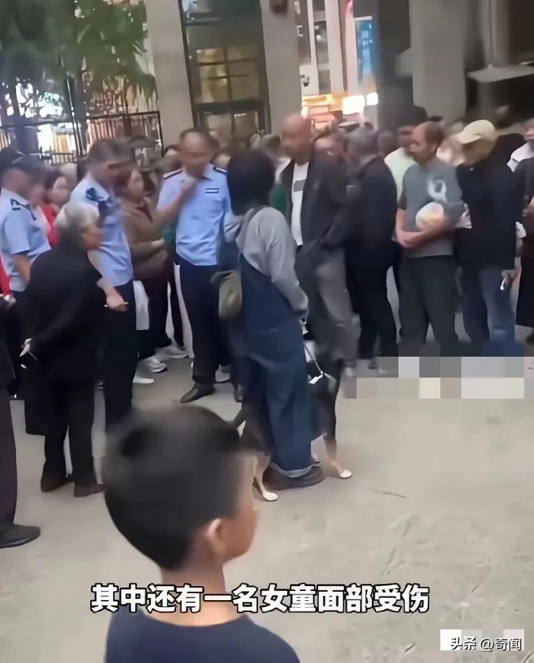 小区内违法养牛头梗，咬伤多人且一小女孩被撕咬受伤严重已转华西医院，警方已对狗主人