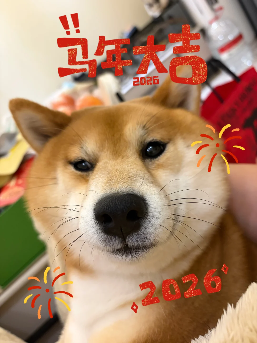 🐴年大吉哇