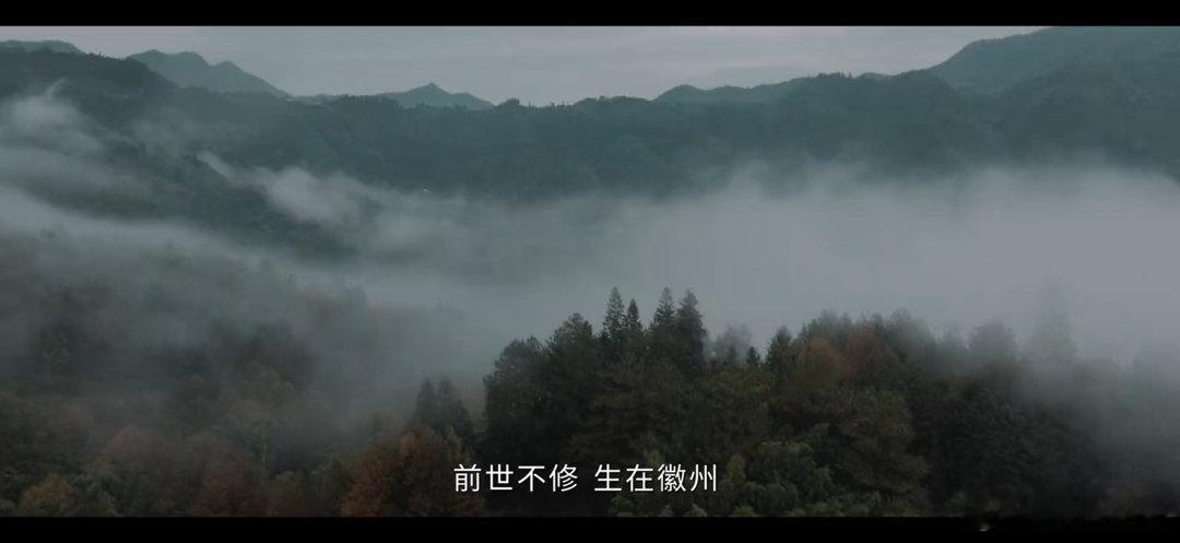 电视剧家业 “前世不修，生在徽州”跟《大明王朝》里的改稻为桑的浙江一样，徽州也是
