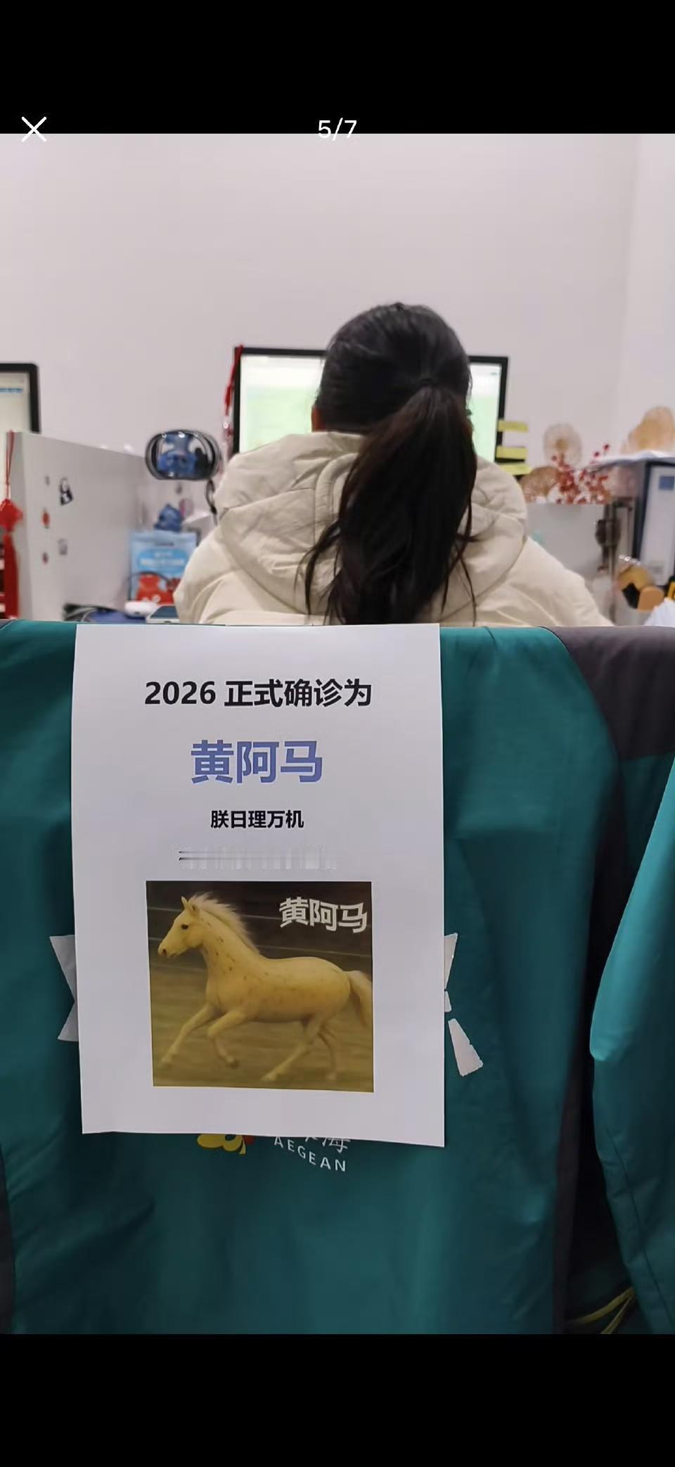 马年的梗还是太超前了[允悲] ​