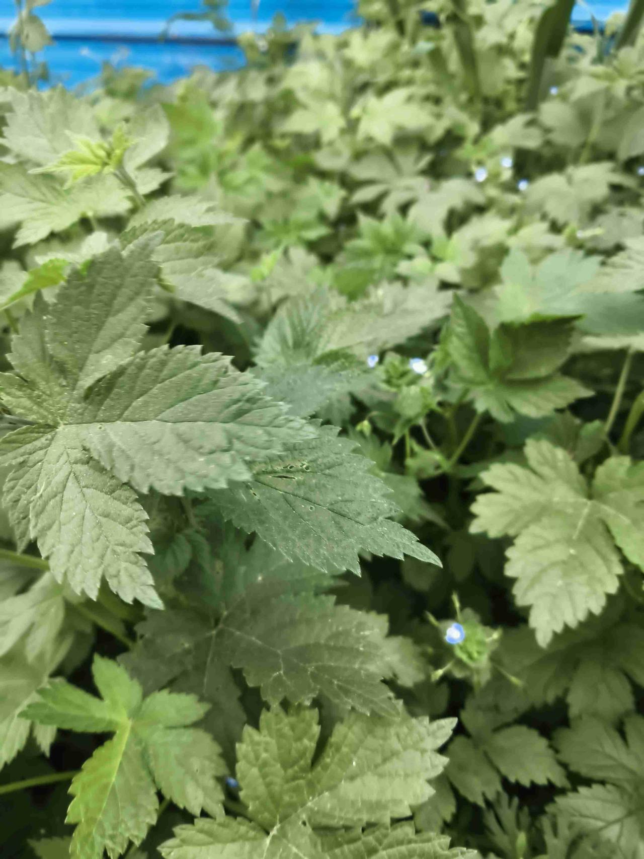 我的今日状态：😁轻松愉快
我这里的天气：🌧下雨