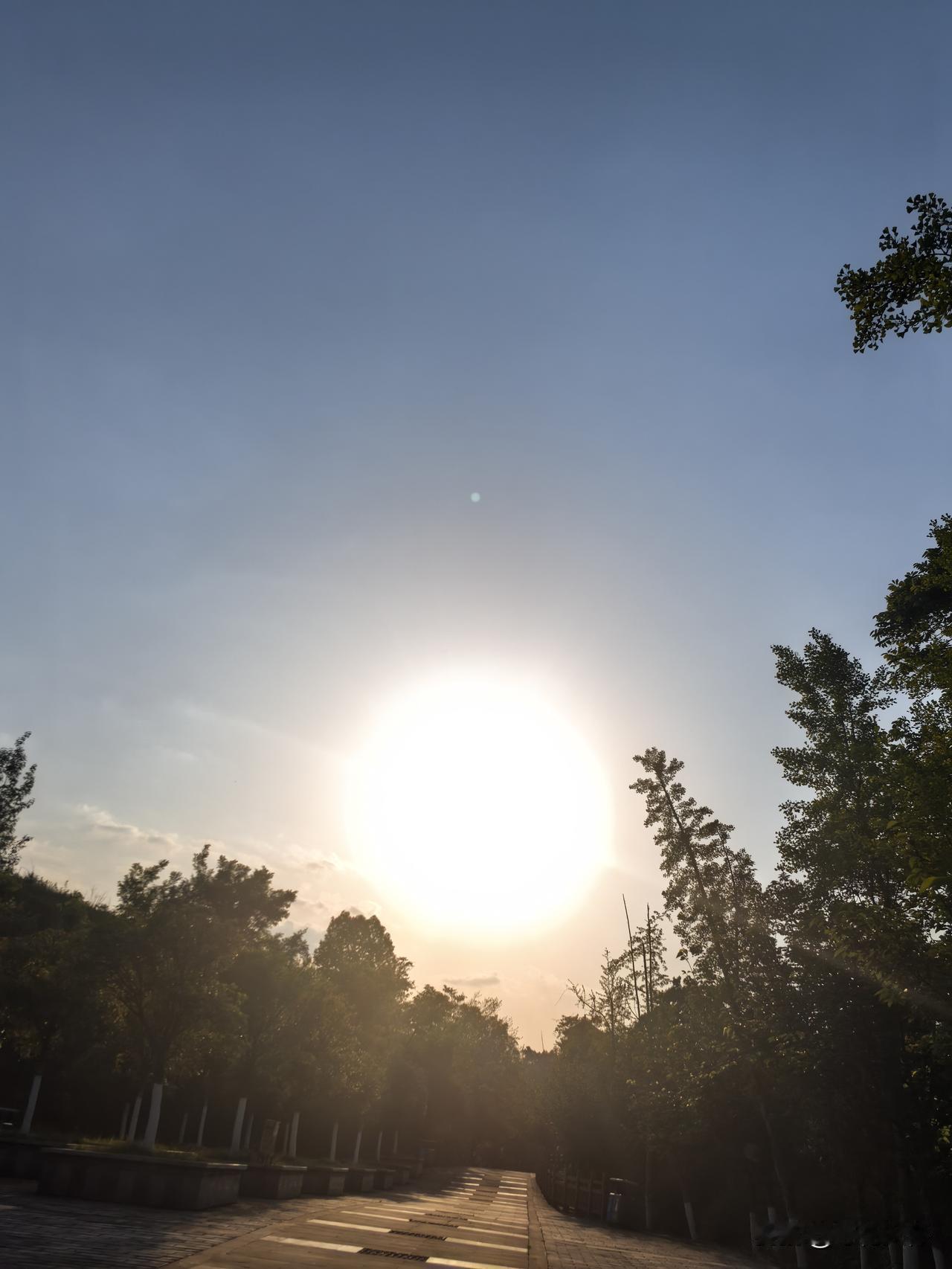 肾衣和古米，中国男人第一次见到的男用避孕套和女用避孕套




1866年，当时