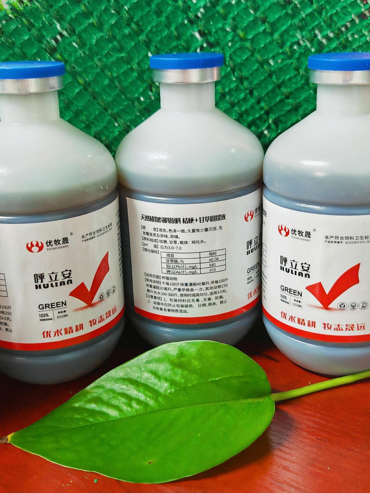 农村养羊 牛羊养殖 养羊人