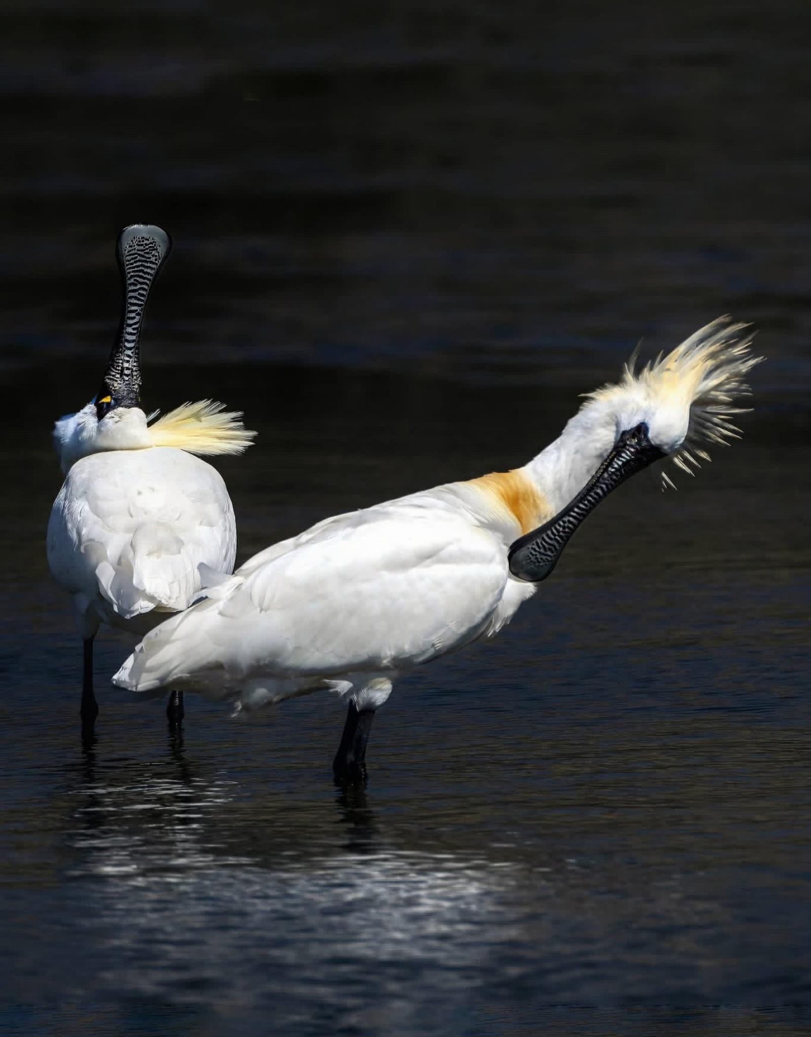 没有什么都刚好的事，今年纳指不可能比去年之前猛，能反弹大部分回去就不错了。别想着