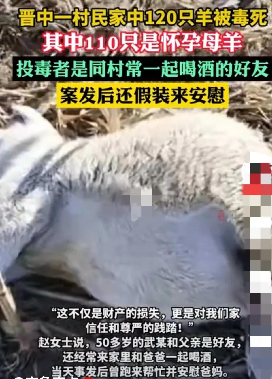 有一种恨叫见不得人好！
        好友背刺！多大仇恨呐？心真毒啊！知人知面