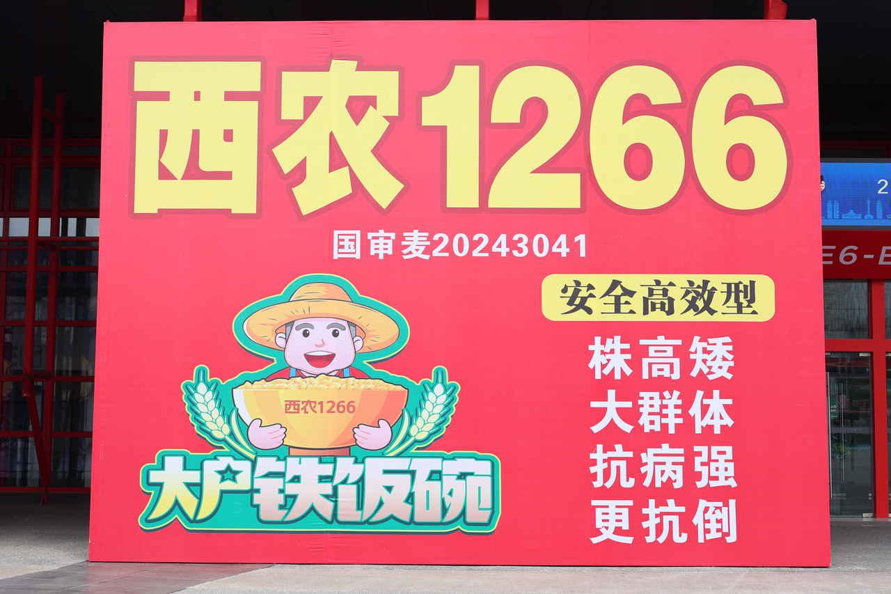 选好良种奔丰收，七月郑州赴良谋！2026郑州夏季种子会7月3-4日盛大启幕，生物