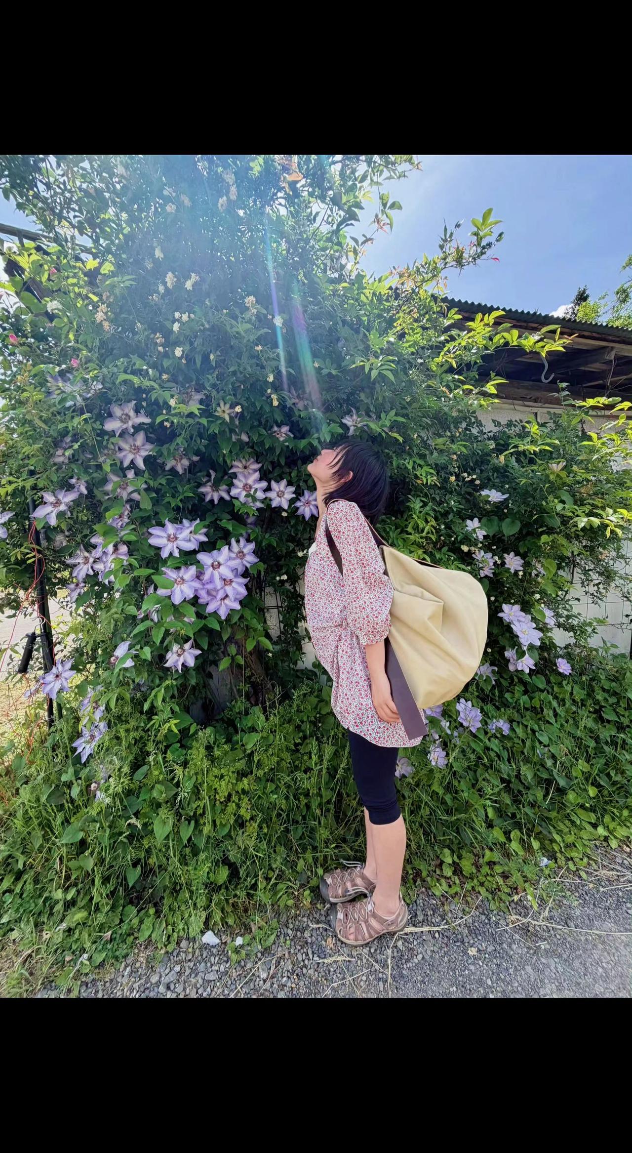 🌸被花丛吻过的午后，连影子都带着甜香✨。风把心事吹成花瓣雨，原来浪漫藏在抬头的