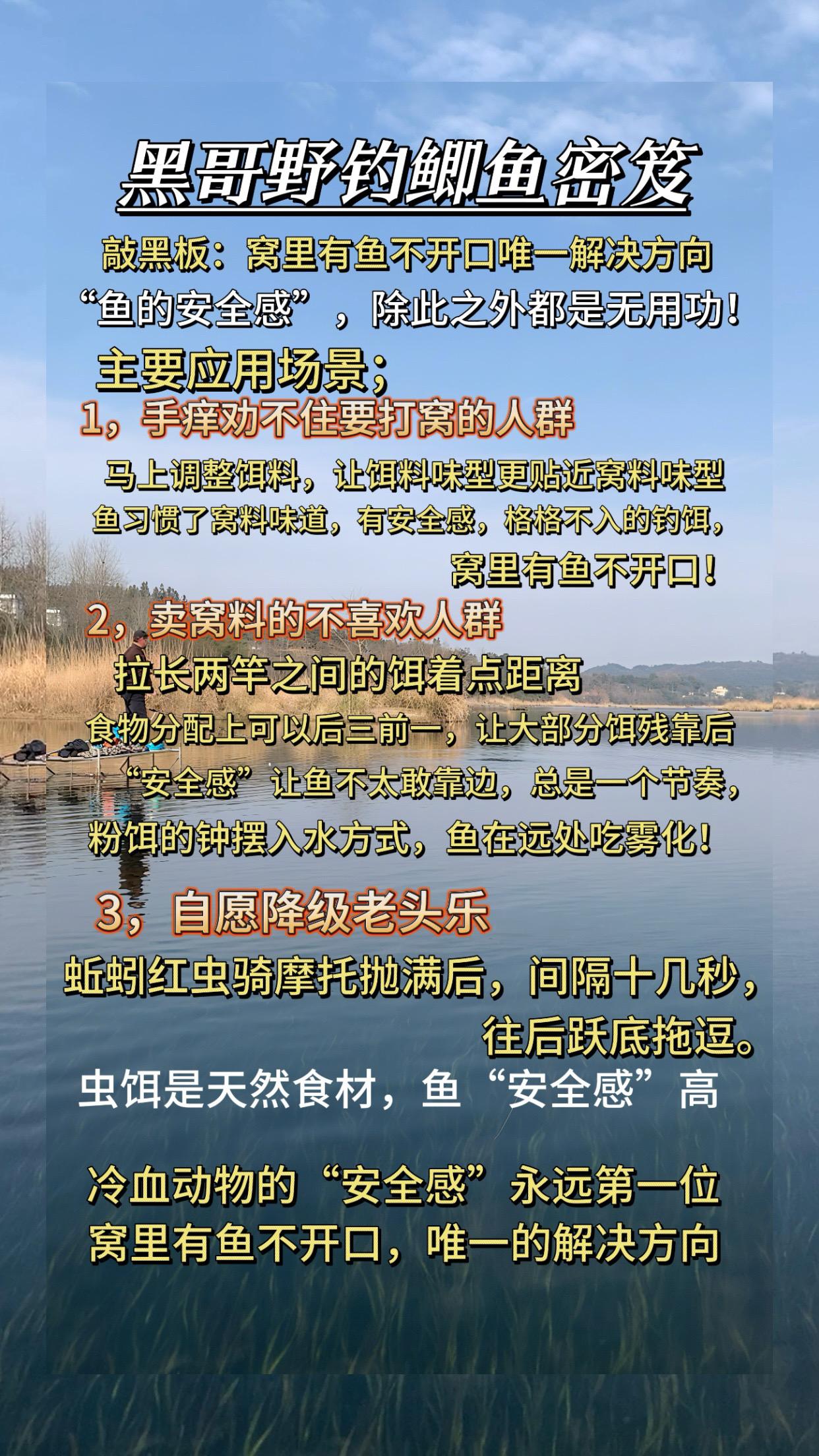 黑哥野钓鲫鱼密笈：窝里有鱼不开口解决方向。窝里有鱼不开口解决方向