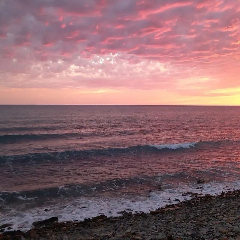 🎴𝙃𝙖𝙥𝙥𝙮 ♡◡̈°“我偷了落日的酒，与自己化敌为友。” 