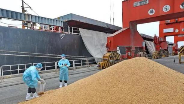 美国恐怕又要急眼了。

中方取消进口美国的13.2万吨小麦订单，而且原因都没说。