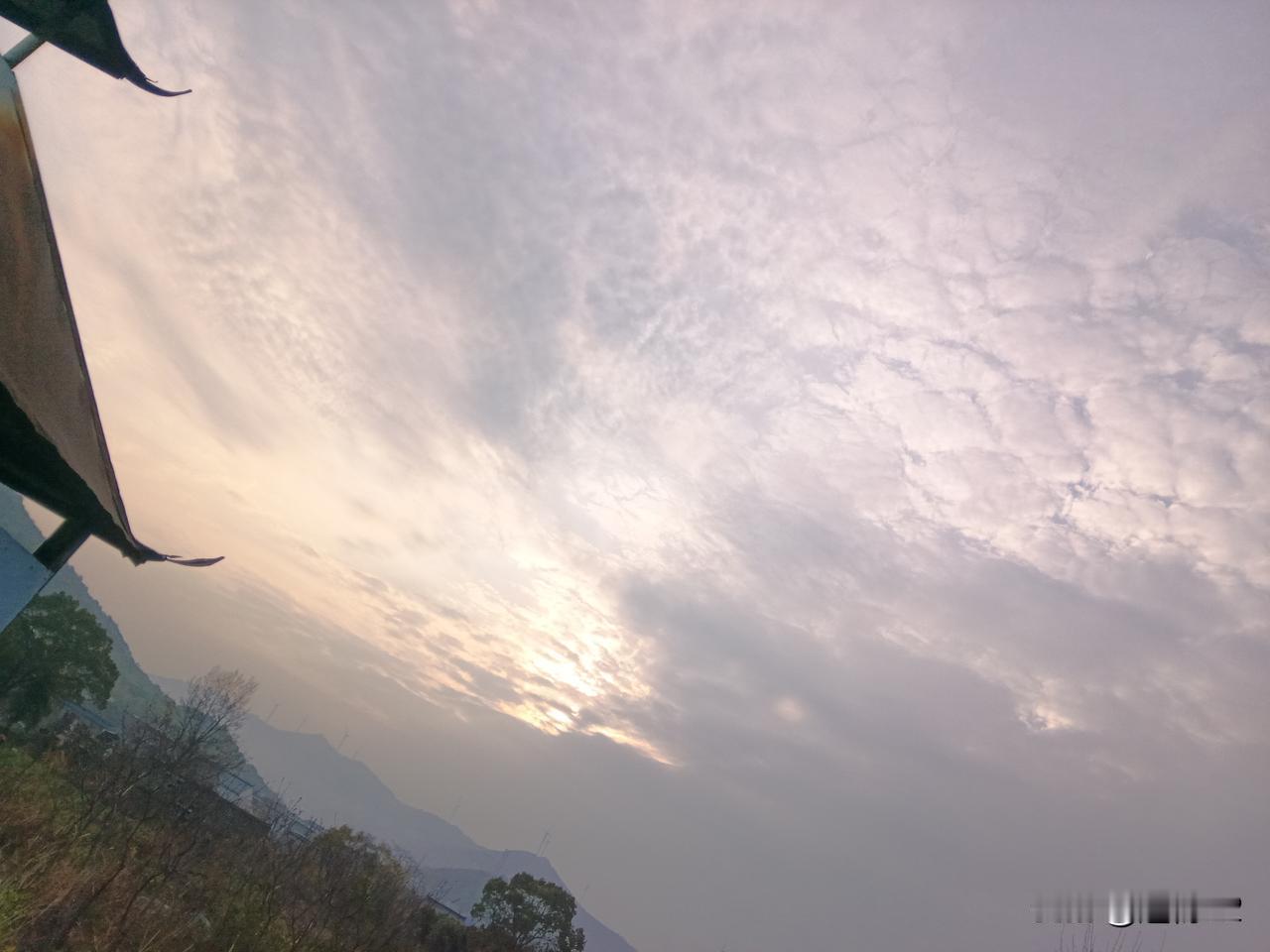 指导学生填志愿，这是张雪峰的职业，也是他能有数亿身家的根本。据说他还想做大做强，