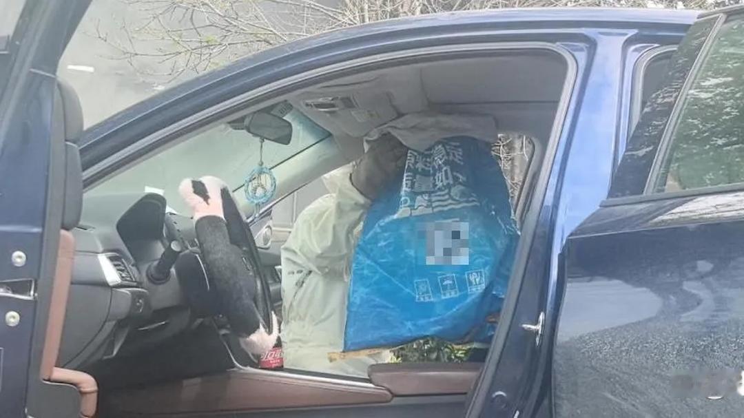 杭州男子停车忘关车窗，15分钟后回来直接傻眼！


副驾驶座位上，蜜蜂竟然筑起拳