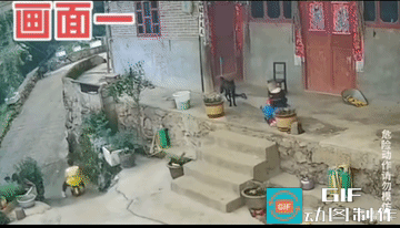 哥哥跑了，弟弟要追。结果从台阶上翻滚了一下，跌的不轻儿。
这个情况，在农村，哥哥