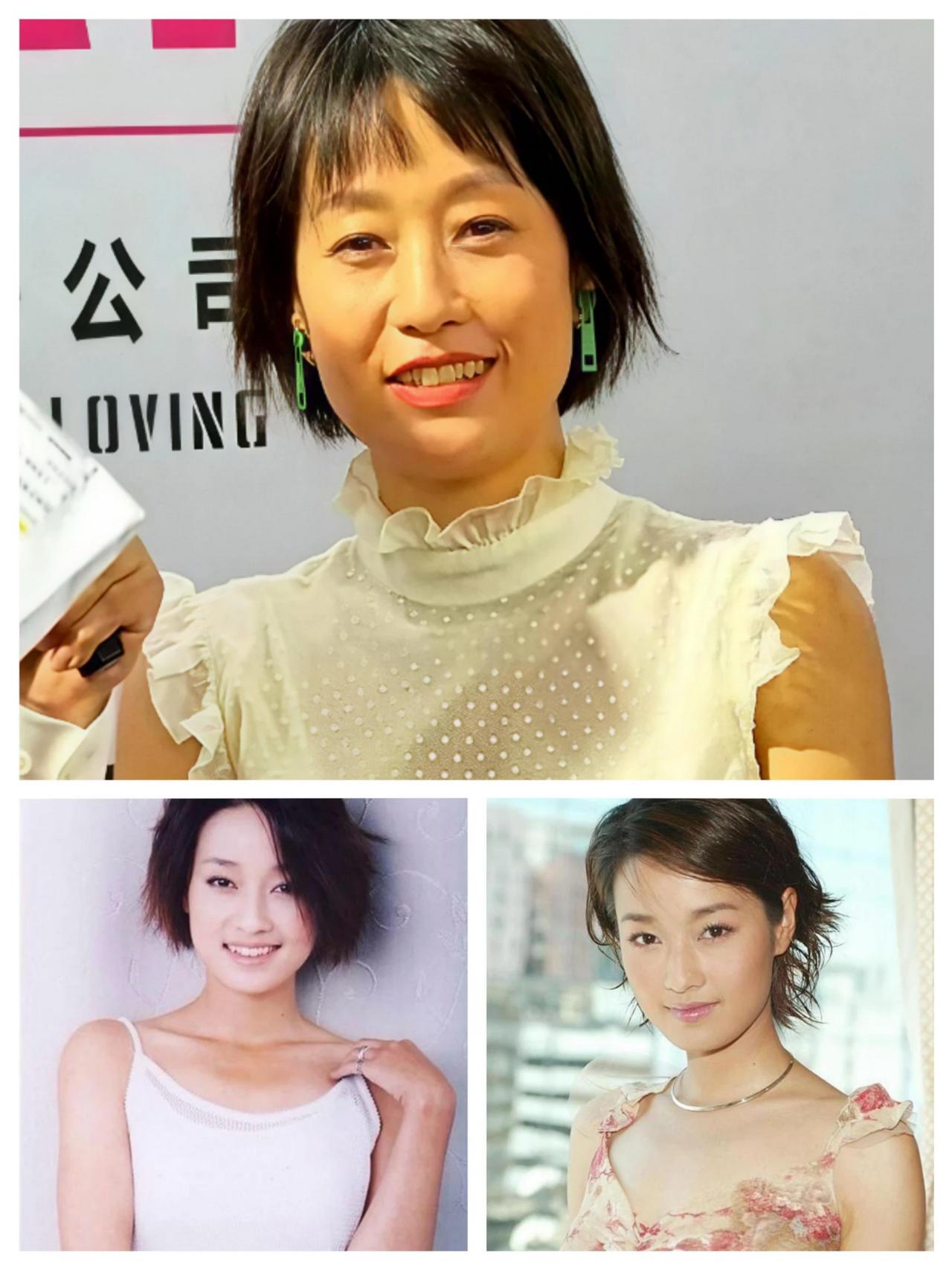 马司令人脉底气如何助她掌握主动？
马伊琍被称作马司令，主动权根基，来自她横跨沪圈