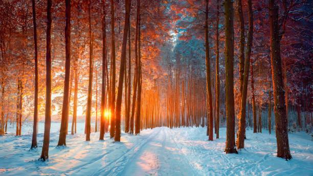 一位心理学者说：
想逆天改命：别让太舒适的生活毁了自己，别吃太饱，别对自己别太纵