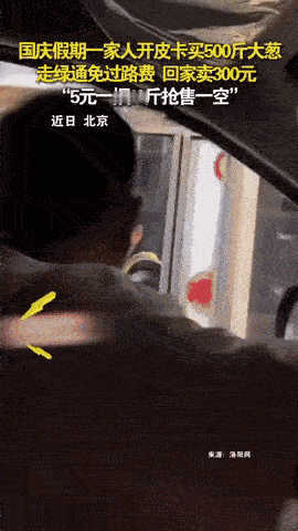 “人怎么能聪明成这样？”北京，男子路过菜地，灵机一动买了500斤大葱，家人起初还
