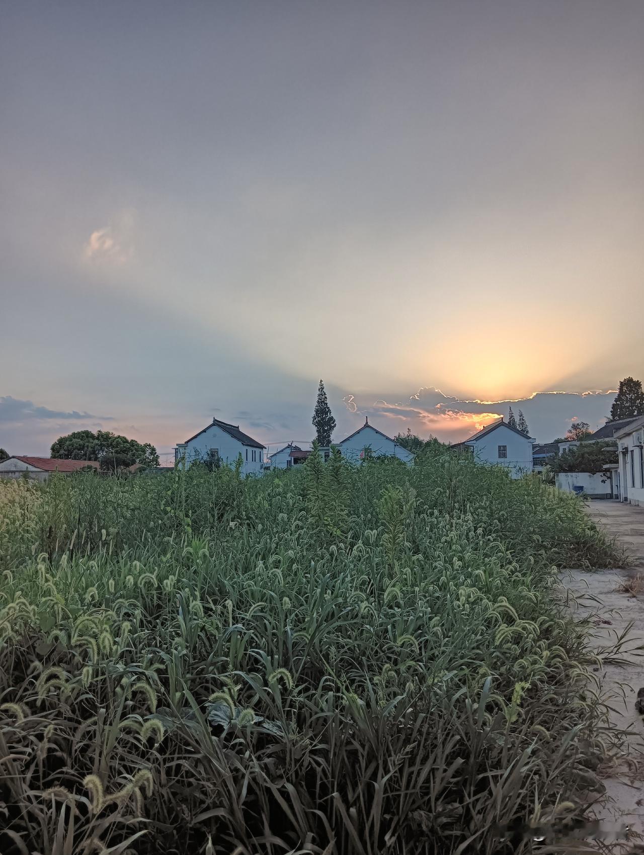 世风日下？现代社会“义气”这东西，咋越来越稀罕了？
 
曾经两肋插刀，如今明哲保