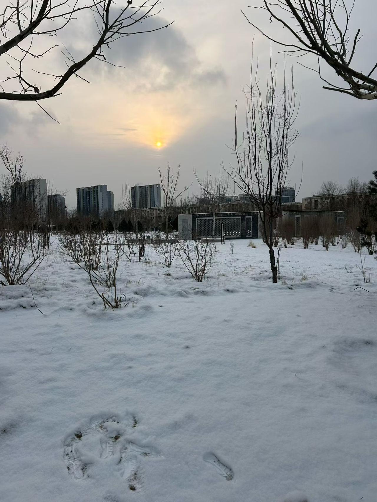 记录我的2026太阳出来了