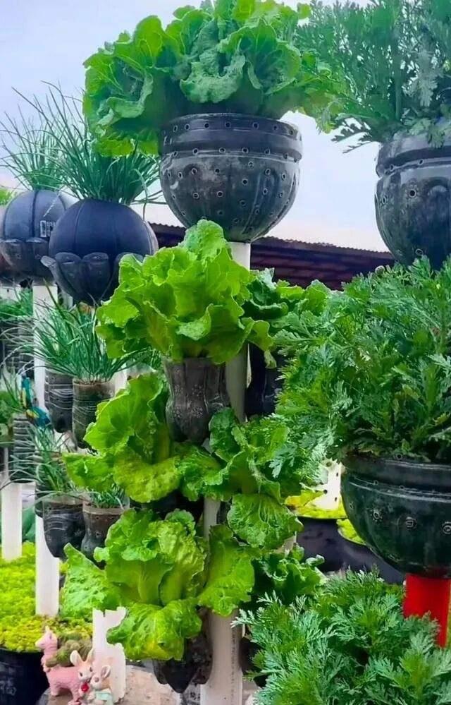 你有没有莫名其妙被拉黑的事情？

今天发现我被一个人拉黑了。

有时候刷到了我会