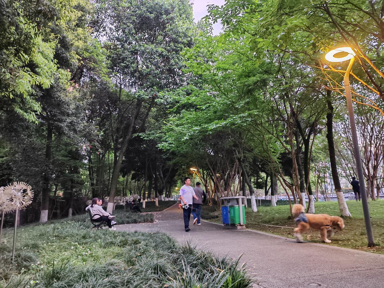 树影织就黄昏的锦缎，暖光漫过延伸的小径。人间烟火不过如此：草木青青，灯火可亲，身