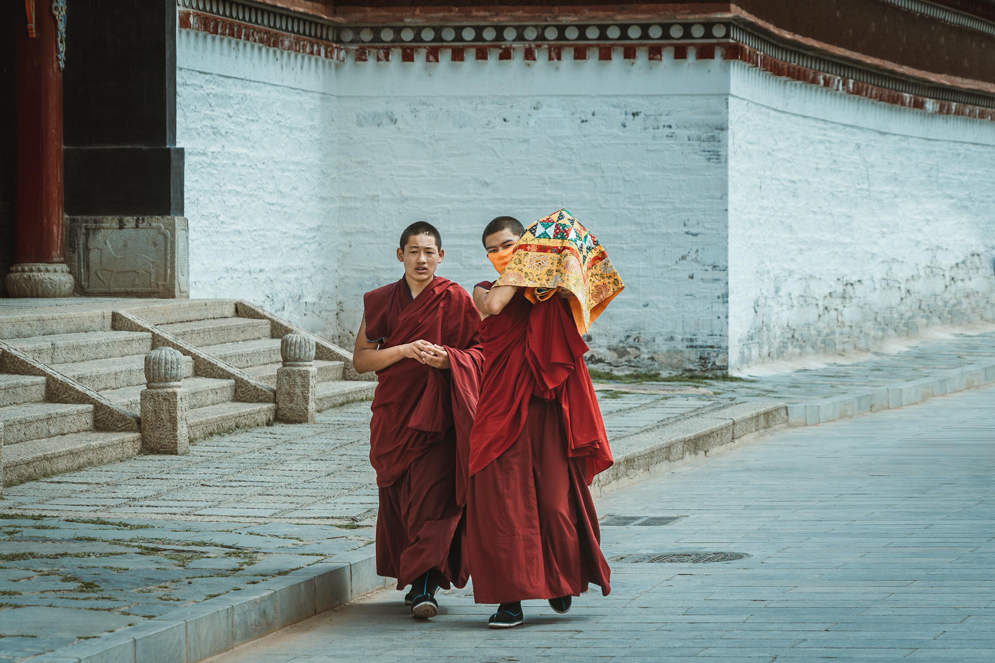 在拉卜楞寺的白墙红檐下，两位僧人缓步而行，绛红僧袍与斑斓经幡相映，时光...