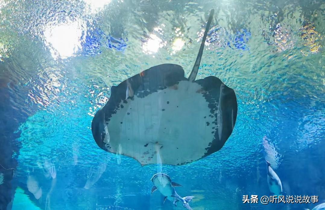 ❤️我个人认为，拉明·亚马尔完全有机会成为未来十年足坛门面，但想达到梅罗那种划时