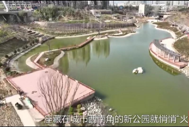 临夏人今夏的散步新顶流，非红园新区湿地公园莫属。
就在老红园旁的全新地块，这片刚
