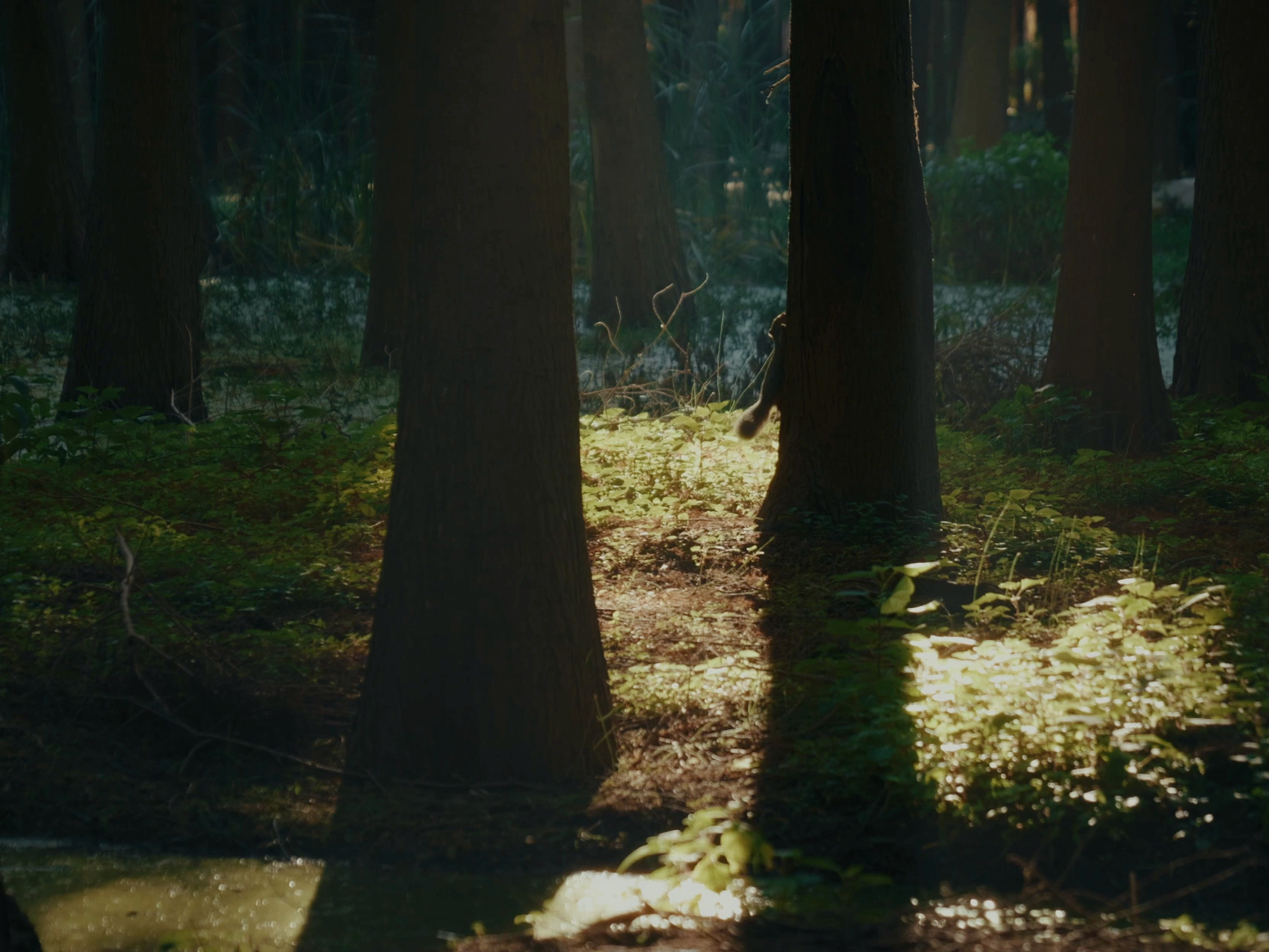 沉浸式体验蔚来全新ES8的360°美好！📸从都市街头的流线光影，到郊外森林的静