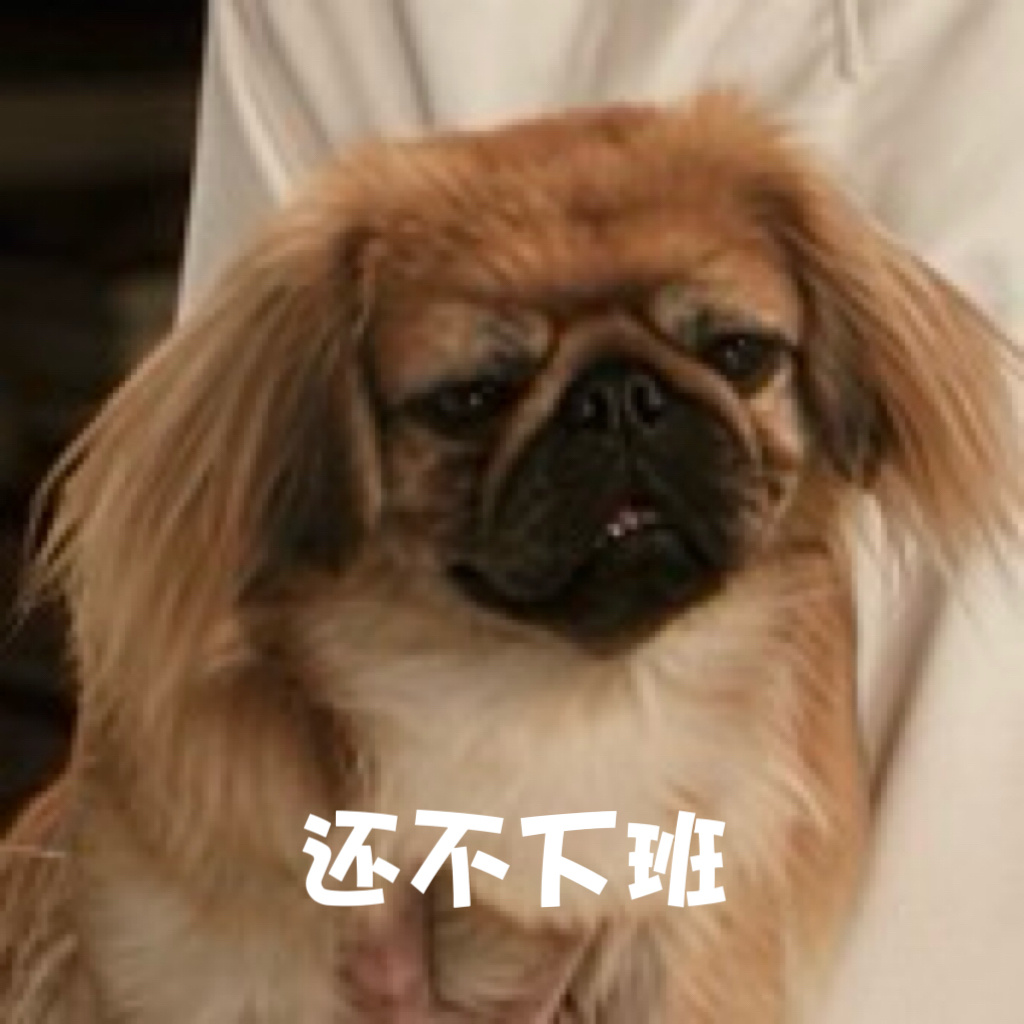 ✧੯•́໒꒱ 