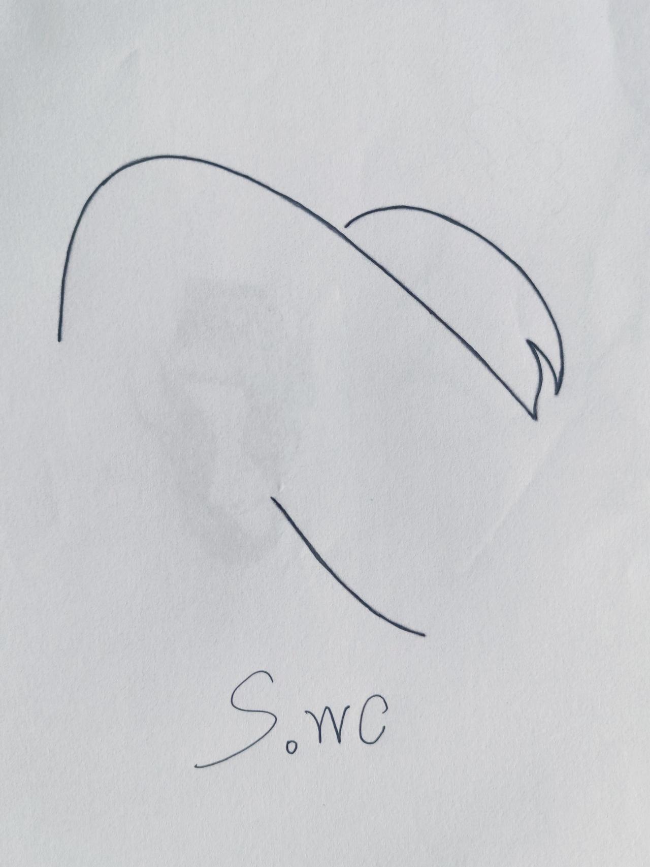 他们说女的都喜欢，我看看半天不知道是啥？😪搞笑灵魂画手 简笔画